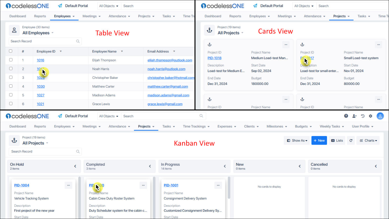 Details View Page - Codeless ONE
